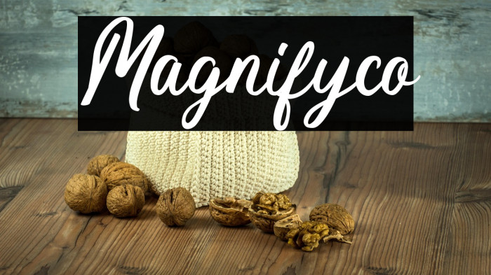 Magnifyco Example 1