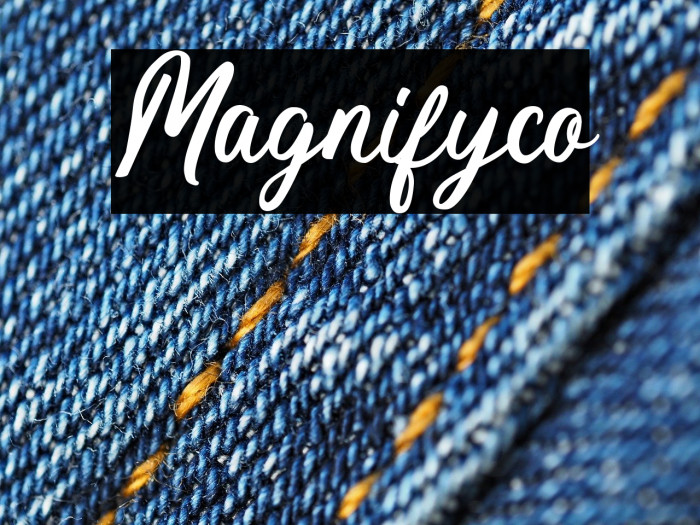 Magnifyco Example 2