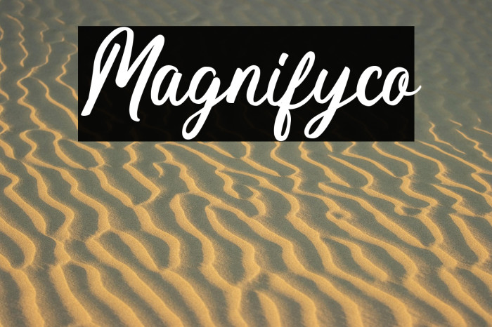Magnifyco Example 3