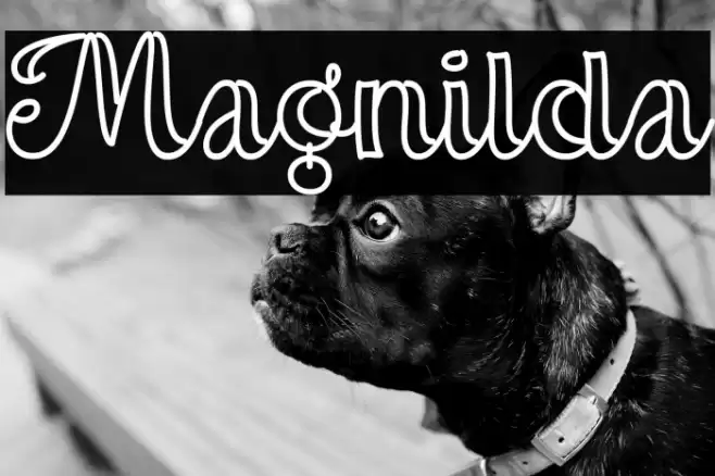 Magnilda Font examples