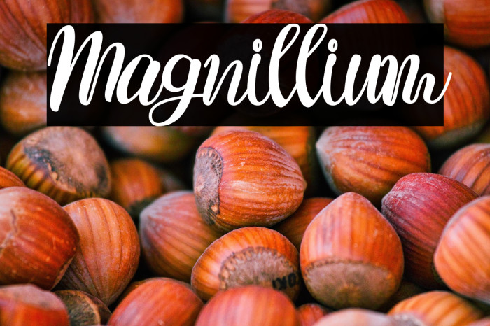 Magnillium Example 3