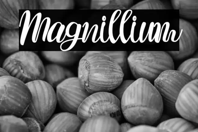 Magnillium Font examples