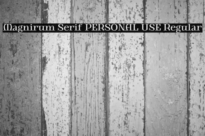 Magnirum Serif PERSONAL USE Regular Example 2