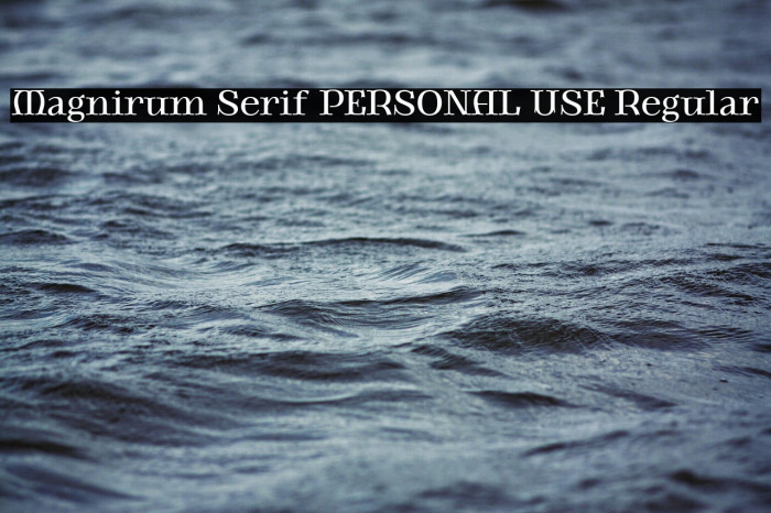Magnirum Serif PERSONAL USE Regular Example 3