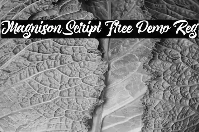 Magnison Script Free Demo Reg Example 1