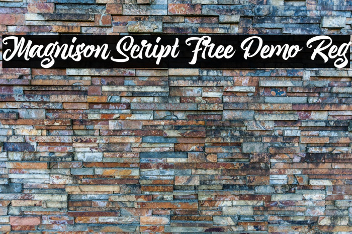 Magnison Script Free Demo Reg Example 2