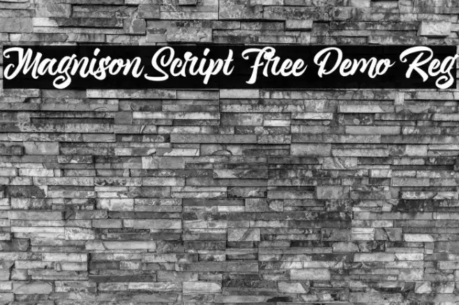 Magnison Script Free Demo Reg Example 2