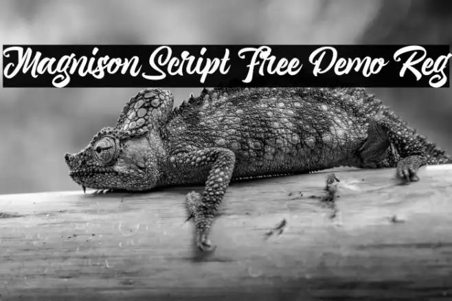 Magnison Script Free Demo Reg Example 3