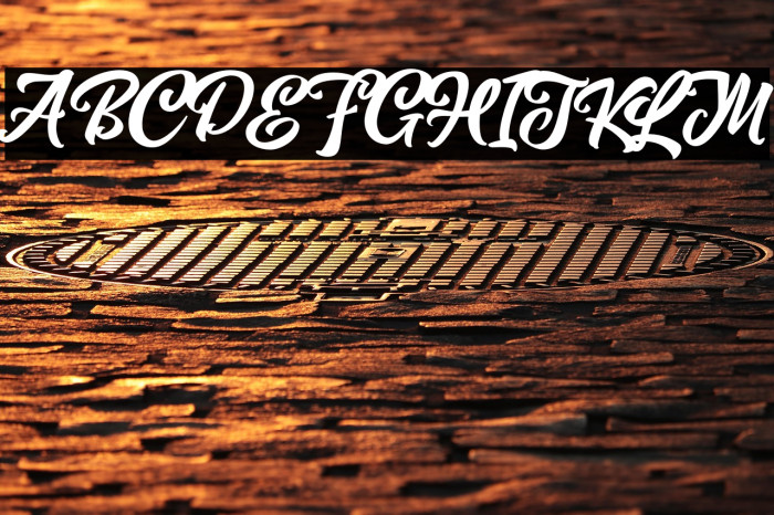 MagnisonScriptFreeDemo-Reg Example 1