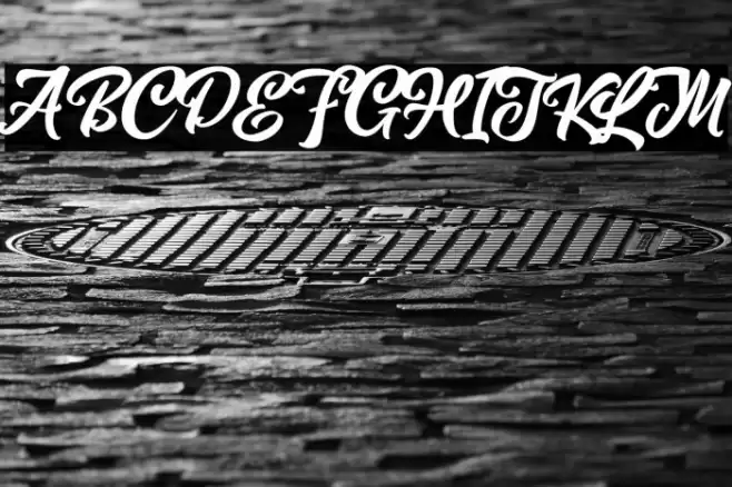 MagnisonScriptFreeDemo-Reg Font examples