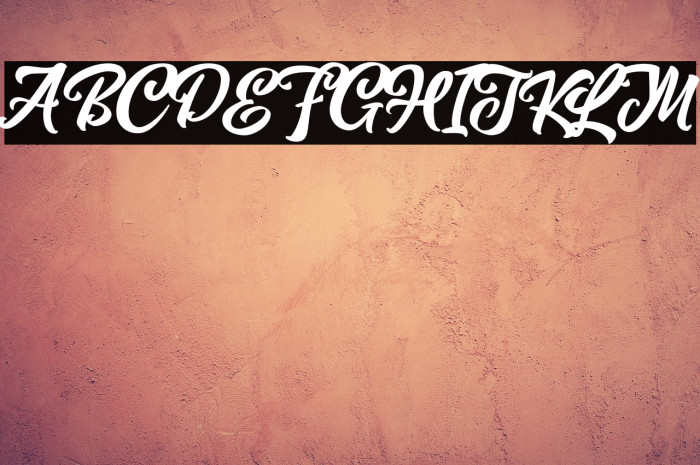 MagnisonScriptFreeDemo-Reg Example 2