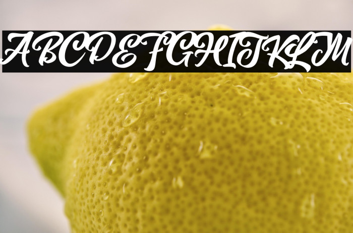 MagnisonScriptFreeDemo-Reg Example 3