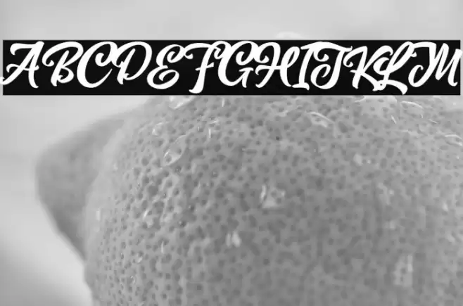 MagnisonScriptFreeDemo-Reg Font examples