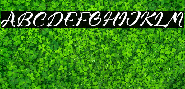 Magnite Lavingo Example 2