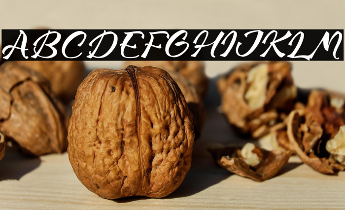 Magnite Lavingo Example 3