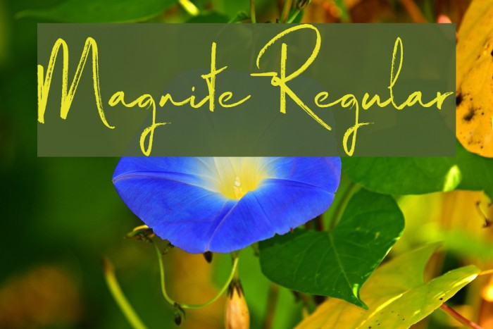 Magnite-Regular Example 1