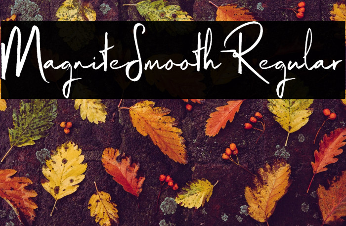 MagniteSmooth-Regular Example 2