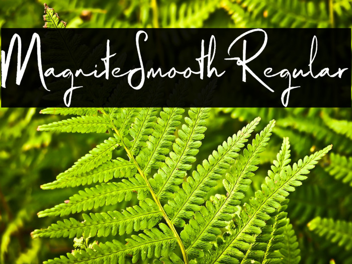 MagniteSmooth-Regular Example 3