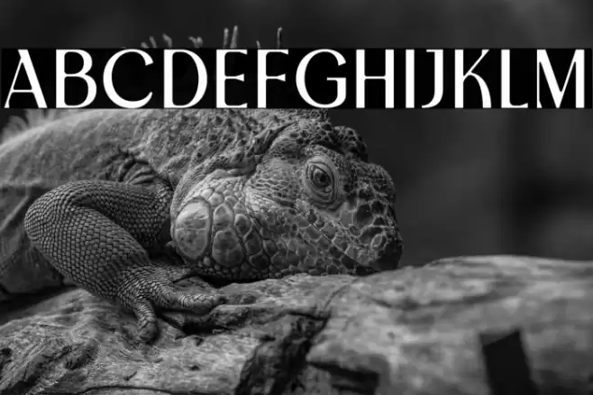 MagnitudeDemo Font examples