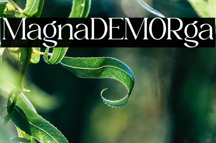 Magnola DEMO Regular Example 1