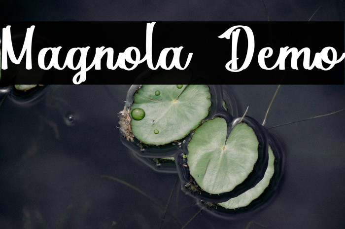 Magnola Demo Example 1