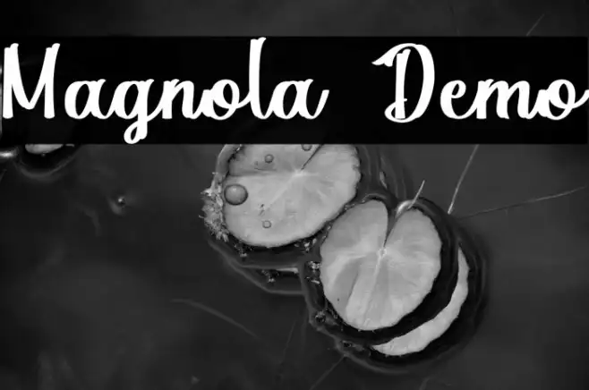 Magnola Demo Example 1