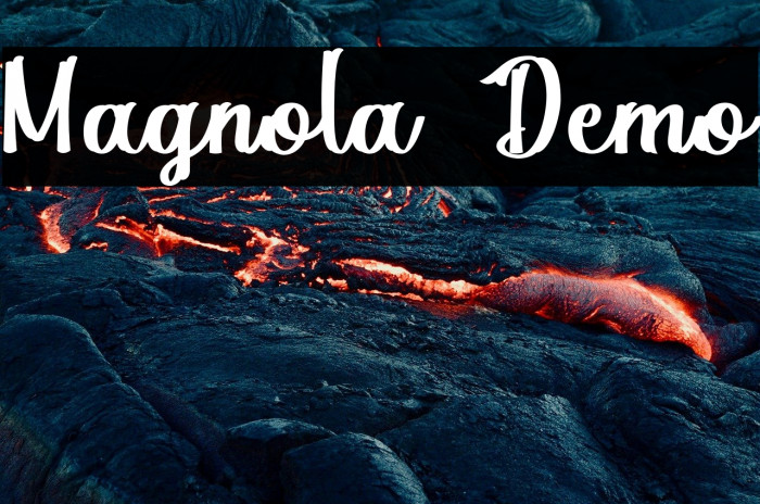 Magnola Demo Example 2