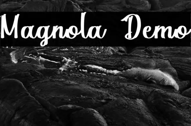 Magnola Demo Example 2
