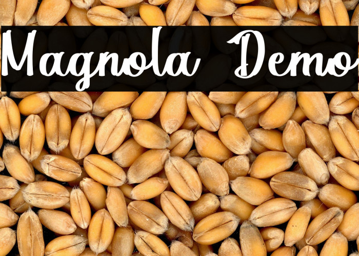 Magnola Demo Example 3