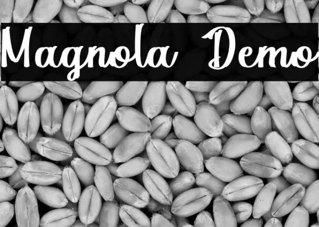 Magnola Demo Example 3