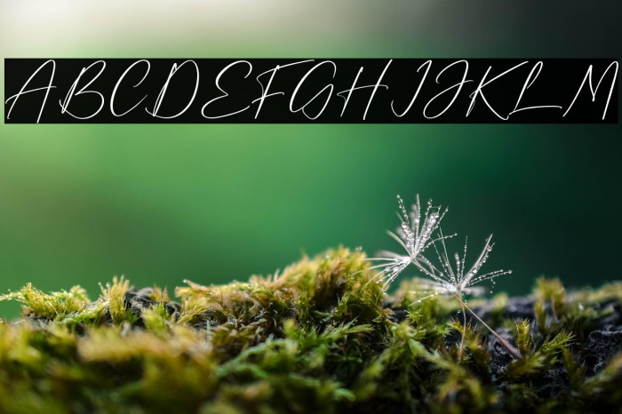 Magnolia Delmonte Example 1