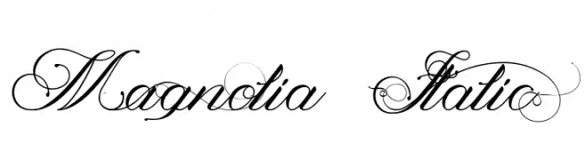 Magnolia  Italic  Free Fonts Download