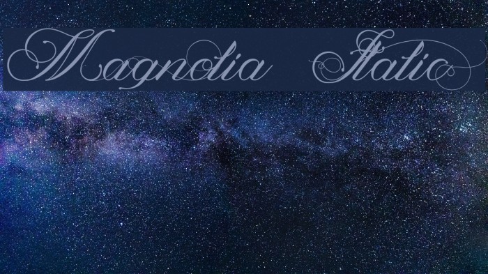 Magnolia Italic Font examples