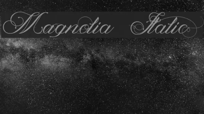 Magnolia  Italic Font examples