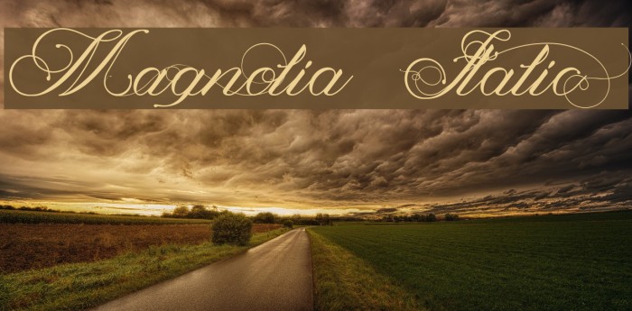 Magnolia Italic Font examples
