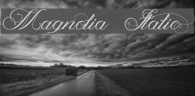 Magnolia  Italic Font examples