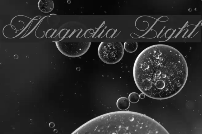 Magnolia Light Font examples