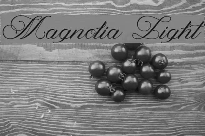 Magnolia Light Font examples