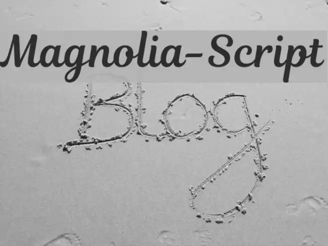 Magnolia-Script Font examples