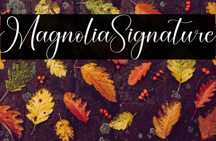 Magnolia Signature Example 1