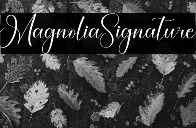 Magnolia Signature Example 1