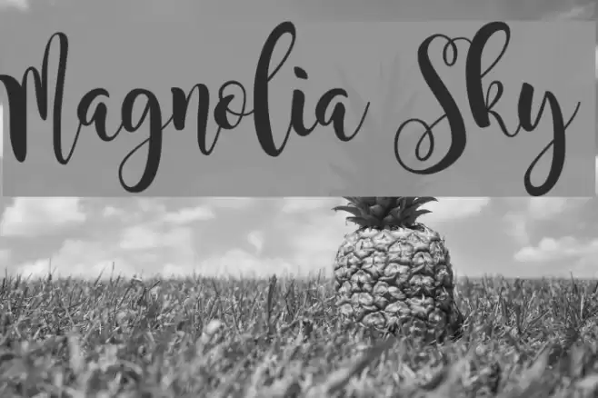 Magnolia Sky Font examples
