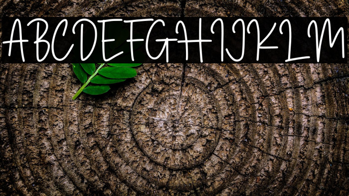 Magnolia Sparkling Demo Example 2