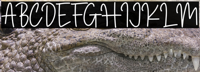 Magnolia Sparkling Demo Example 3