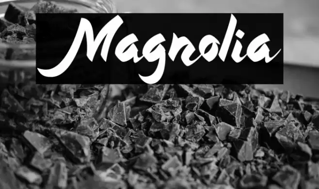 Magnolia Font examples