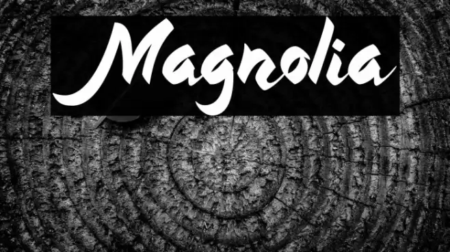 Magnolia Font examples