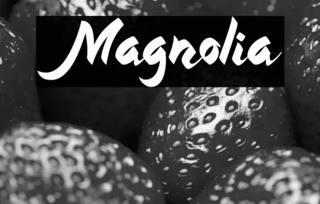 Magnolia Font examples