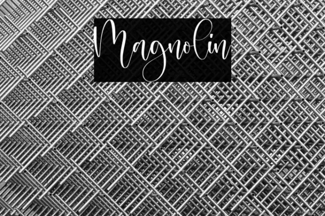 Magnolin Font examples