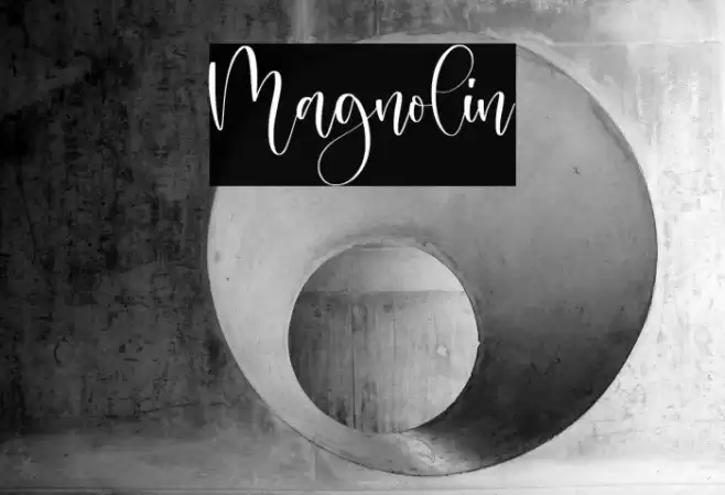Magnolin Font examples