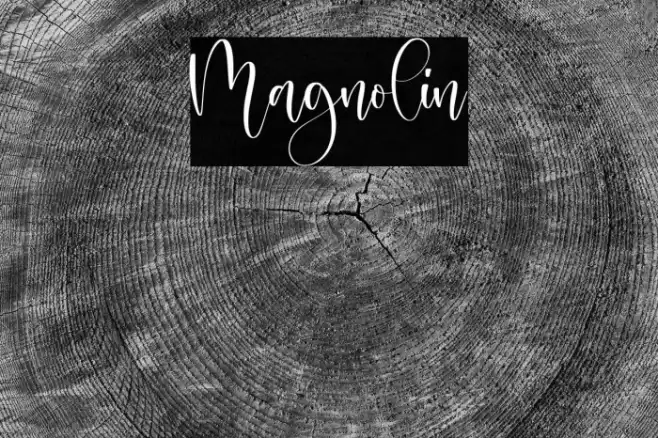Magnolin Font examples